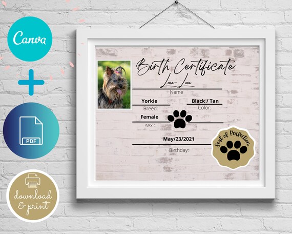 Image 7 for Birth Certificate Template For Pets
