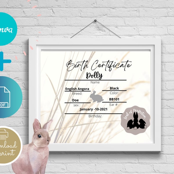 Editable Bunny Birth Certificate Etsy Editable Bunny Birth Certificate Etsy