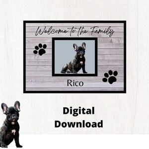 Welcome To The Family Dog Kit (DIG04