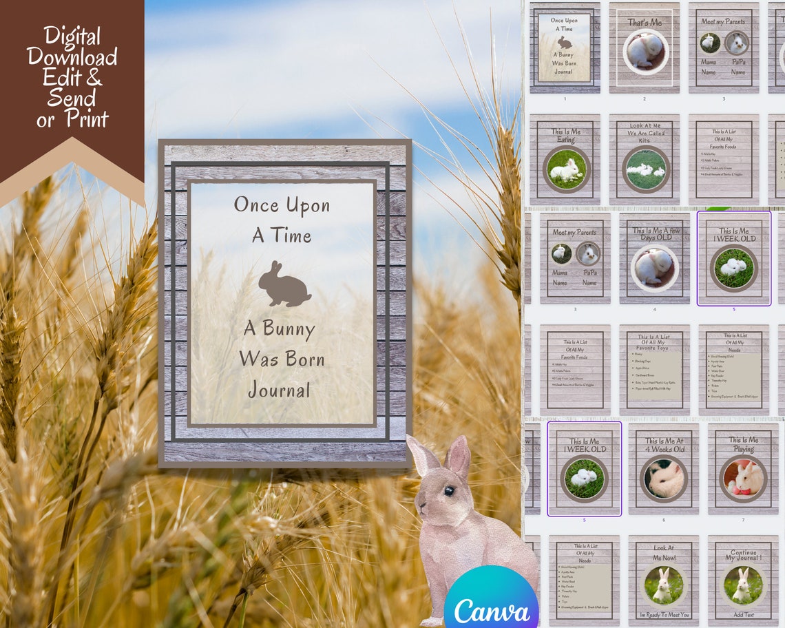 Editable Rabbit Story Journal Template, Bunny Story, Adoption Journal