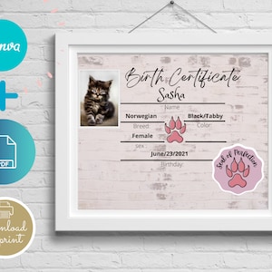 Editable Kitten Birth Certificate Template,pdf, Birth Certificate, Cat ...
