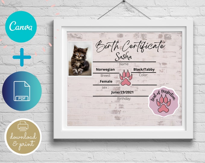 Editable Kitten Birth Certificate Template,pdf, Birth Certificate, Cat ...