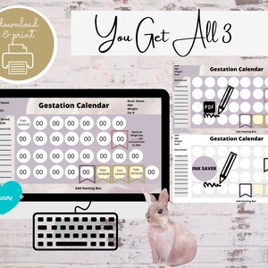 Editable Rabbit Gestation Calendar Template, Printable, Rabbitry ...