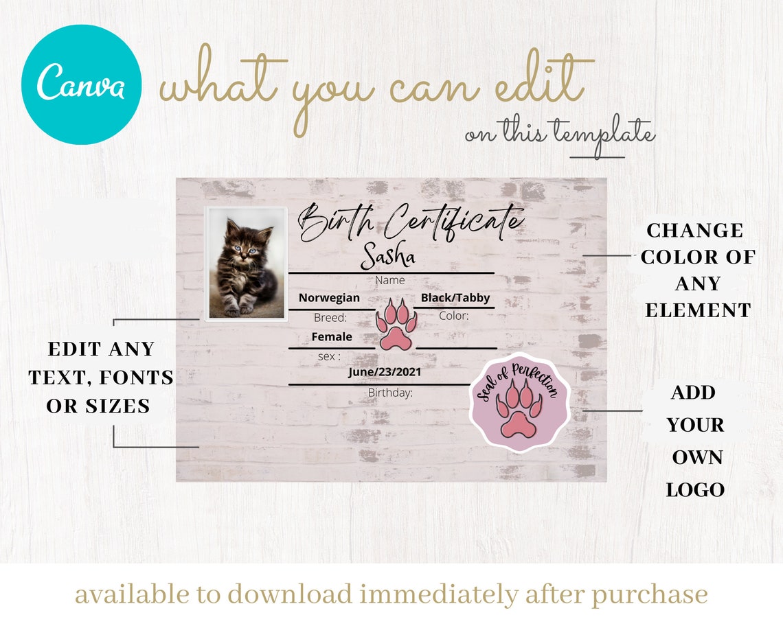Editable Kitten Birth Certificate Template,pdf, Birth Certificate, Cat ...