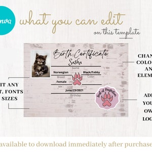 Editable Kitten Birth Certificate Template,pdf, Birth Certificate, Cat ...