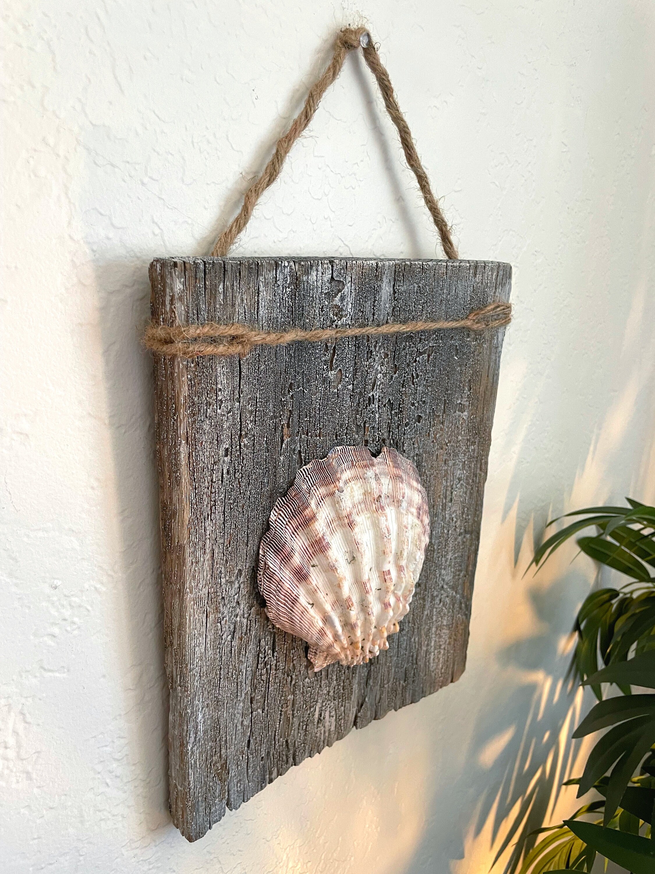 Beautiful handmade Driftwood Seashell Wall Decor  Seashell wall decor,  Seashell art diy, Shell crafts diy