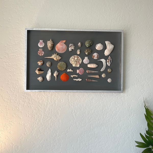 Framed Shell Art Etsy