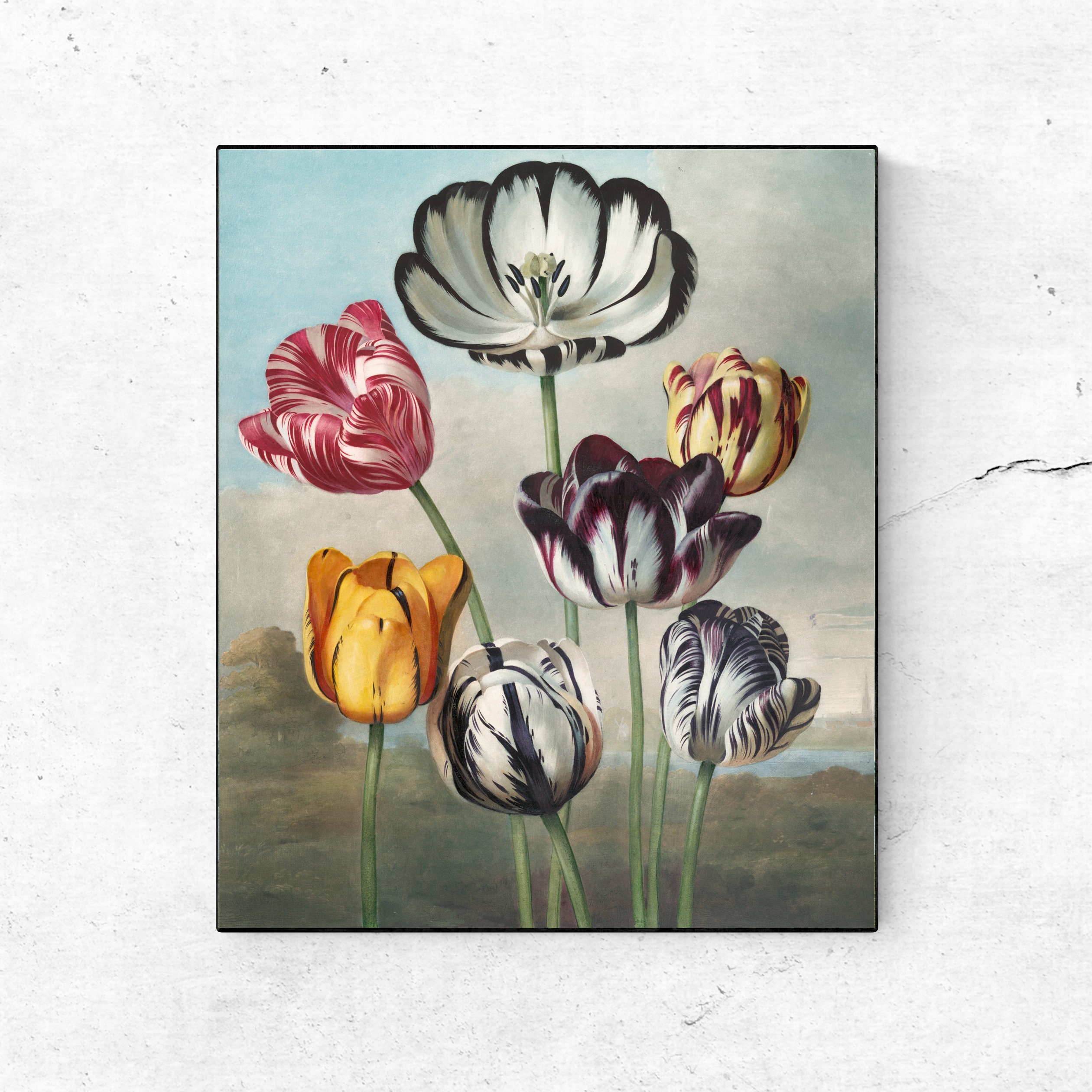 Vintage Tulip Painting Floral Wall Art Digital Download, Victorian ...