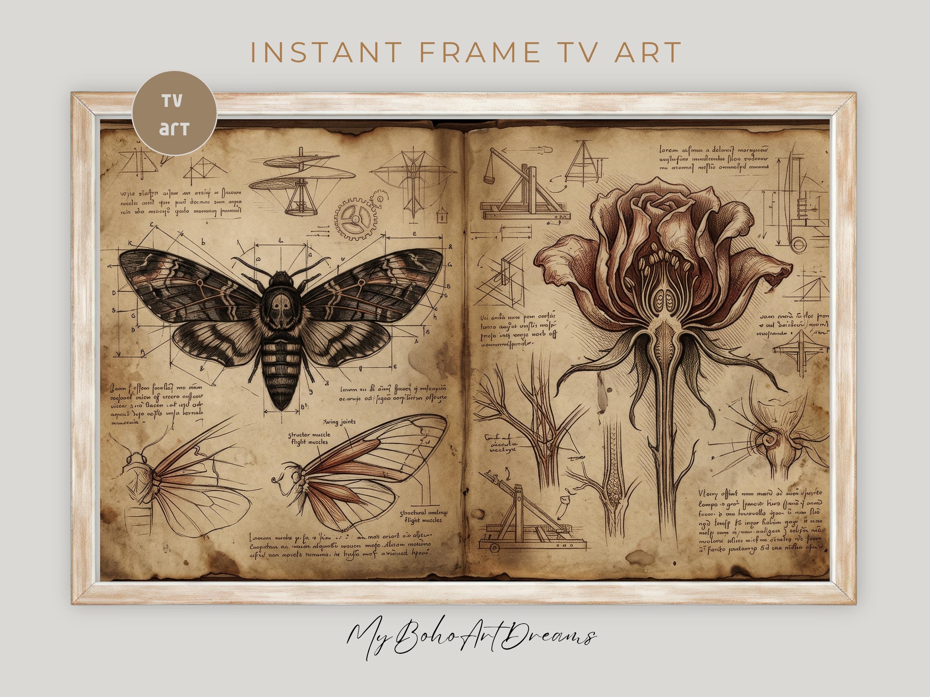 Codex Style Art - Etsy