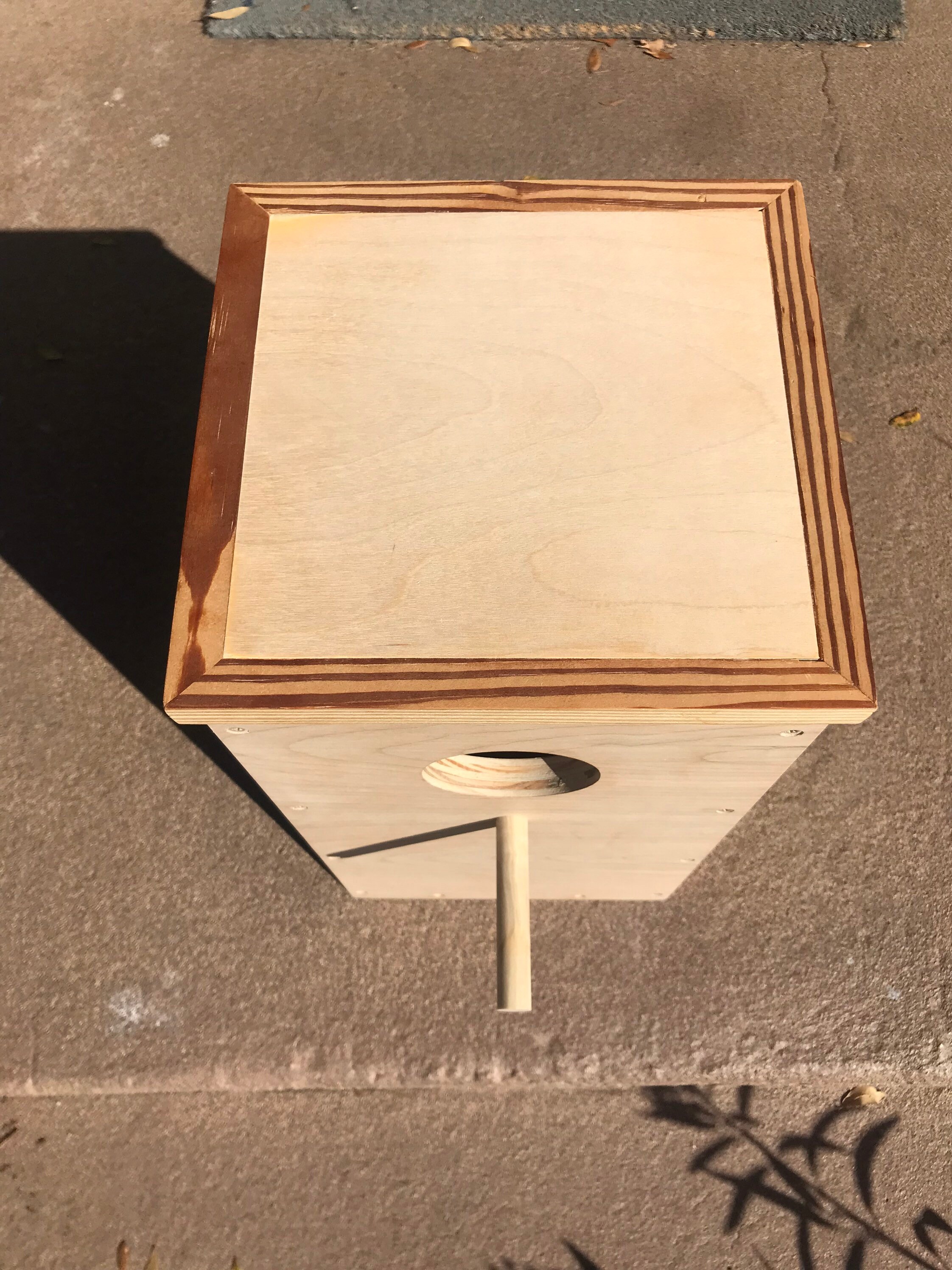Ringneck Parrot Nesting Box Etsy