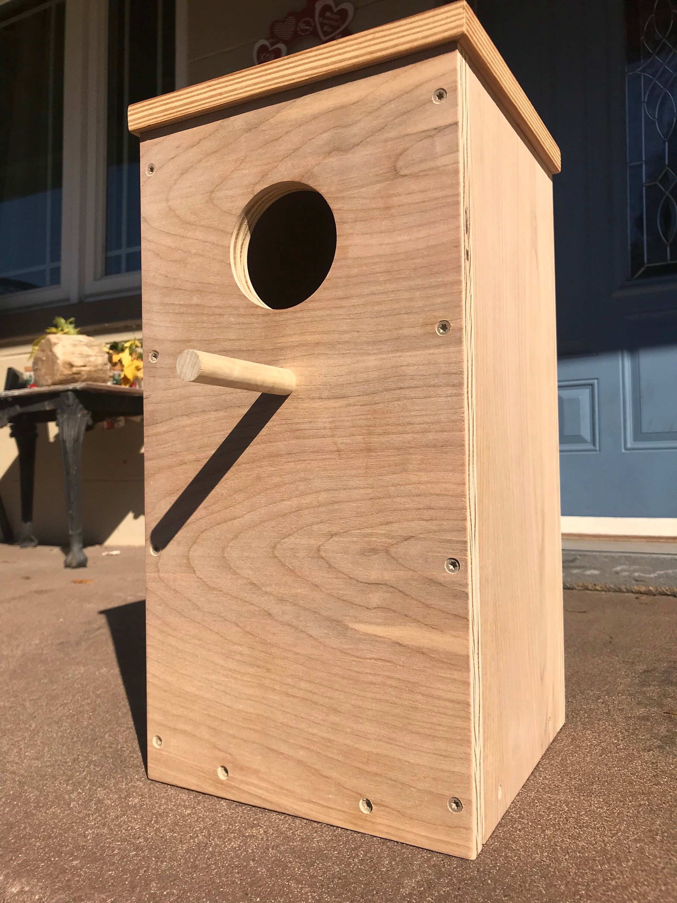 Ringneck Parrot Nesting Box Etsy