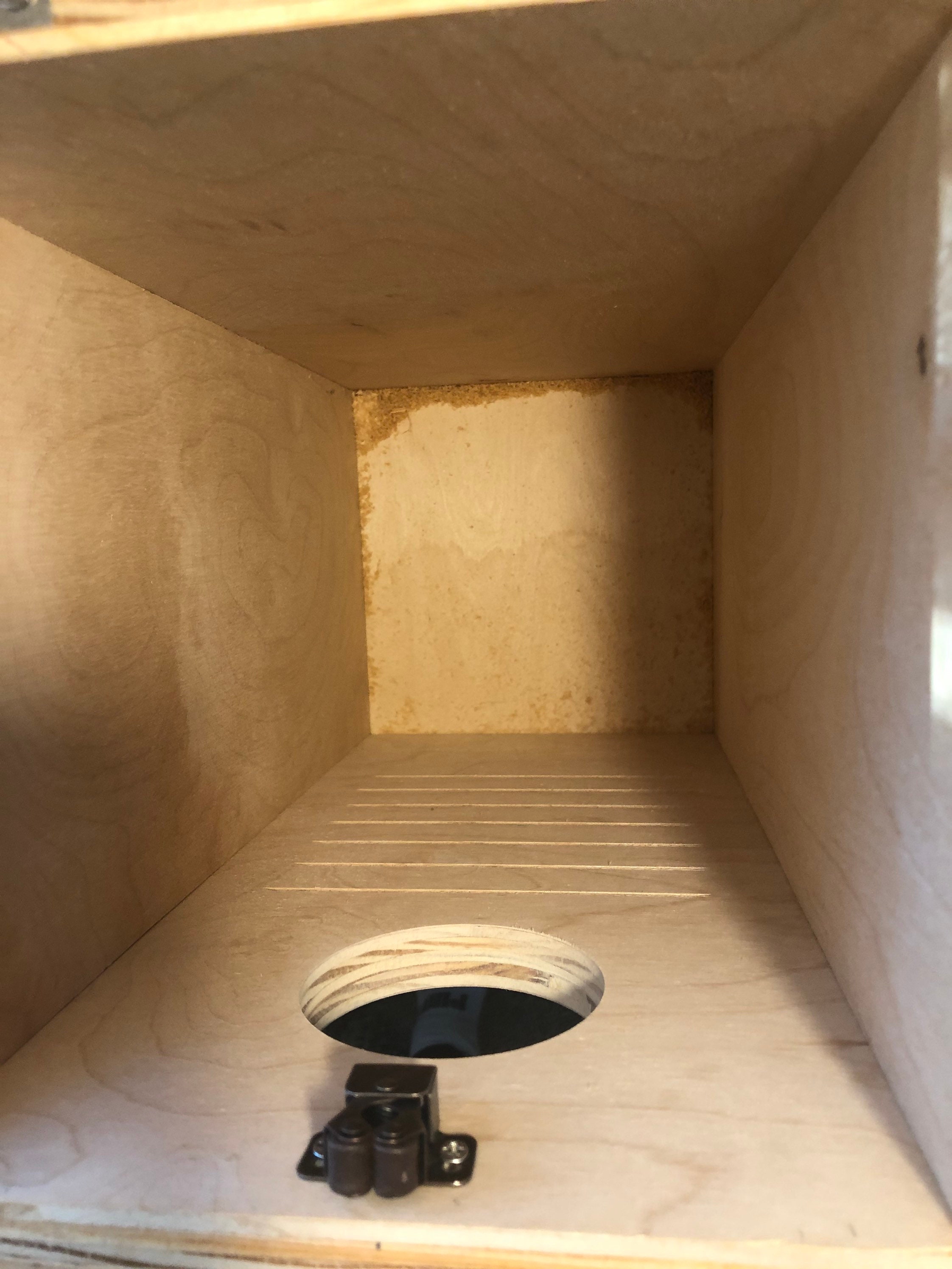 Ringneck Parrot Nesting Box Etsy