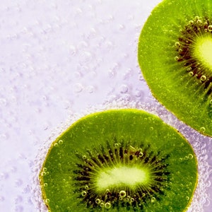 Prolific Kiwi Tree - Hardy Kiwi Prolific Plant - Self-Fertile  - 4-6 Inches Live Starter Plant