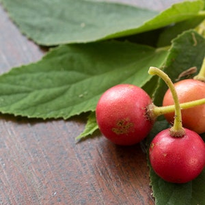 May include: Close-up of four red berries with green stems and leaves on a brown wooden surface.