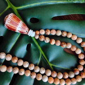 Conidae Cone Shell, Puka Shells, Picture Jasper Beads, Hawaiian Necklace