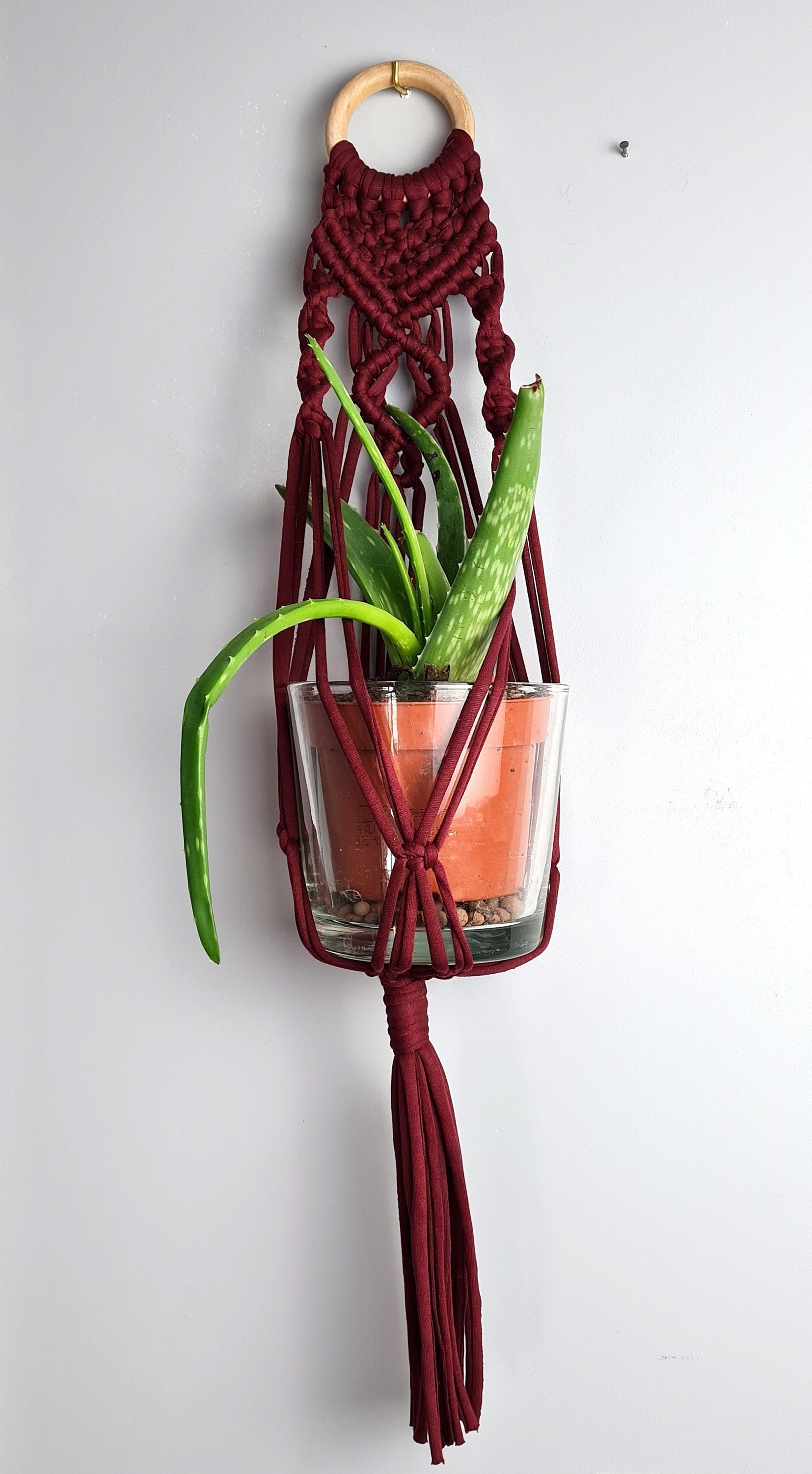 Suspension Pour Plantes