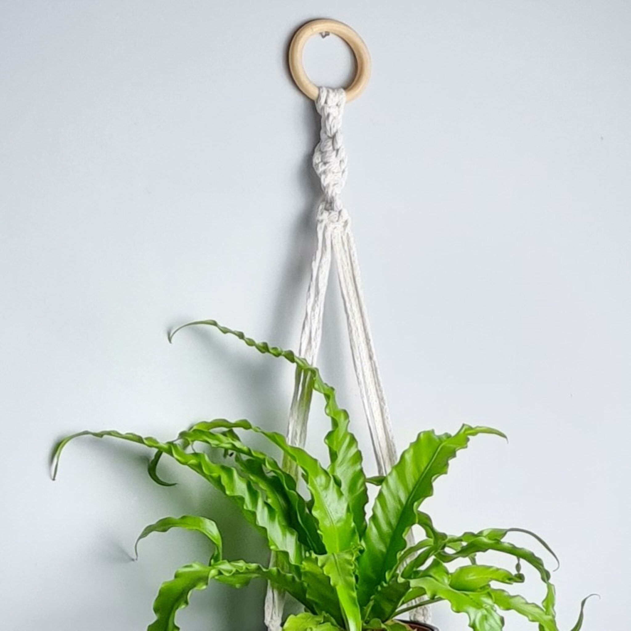 Suspension Pour Plantes en Macramé