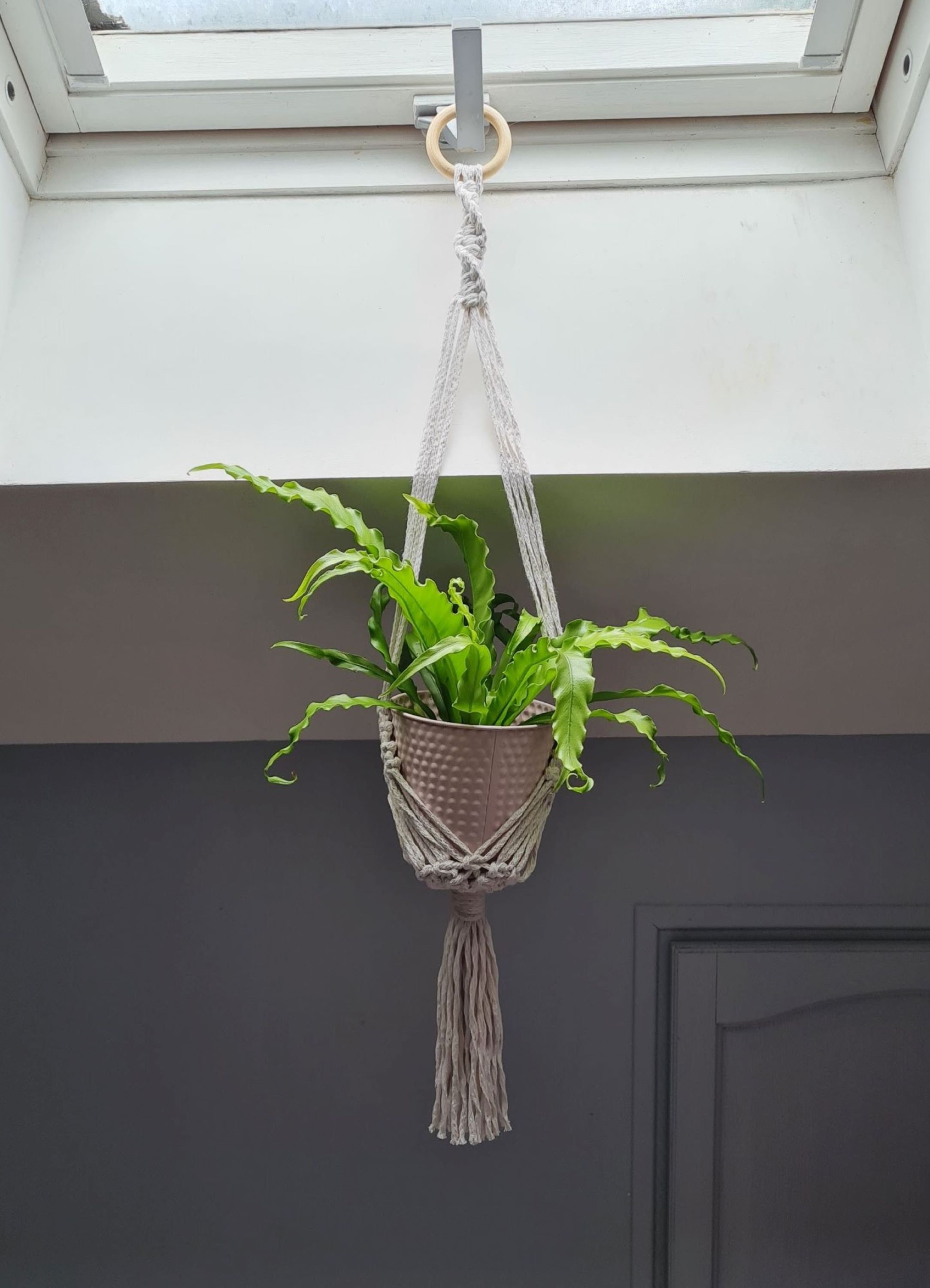 Suspension Macramé Pour Plantes