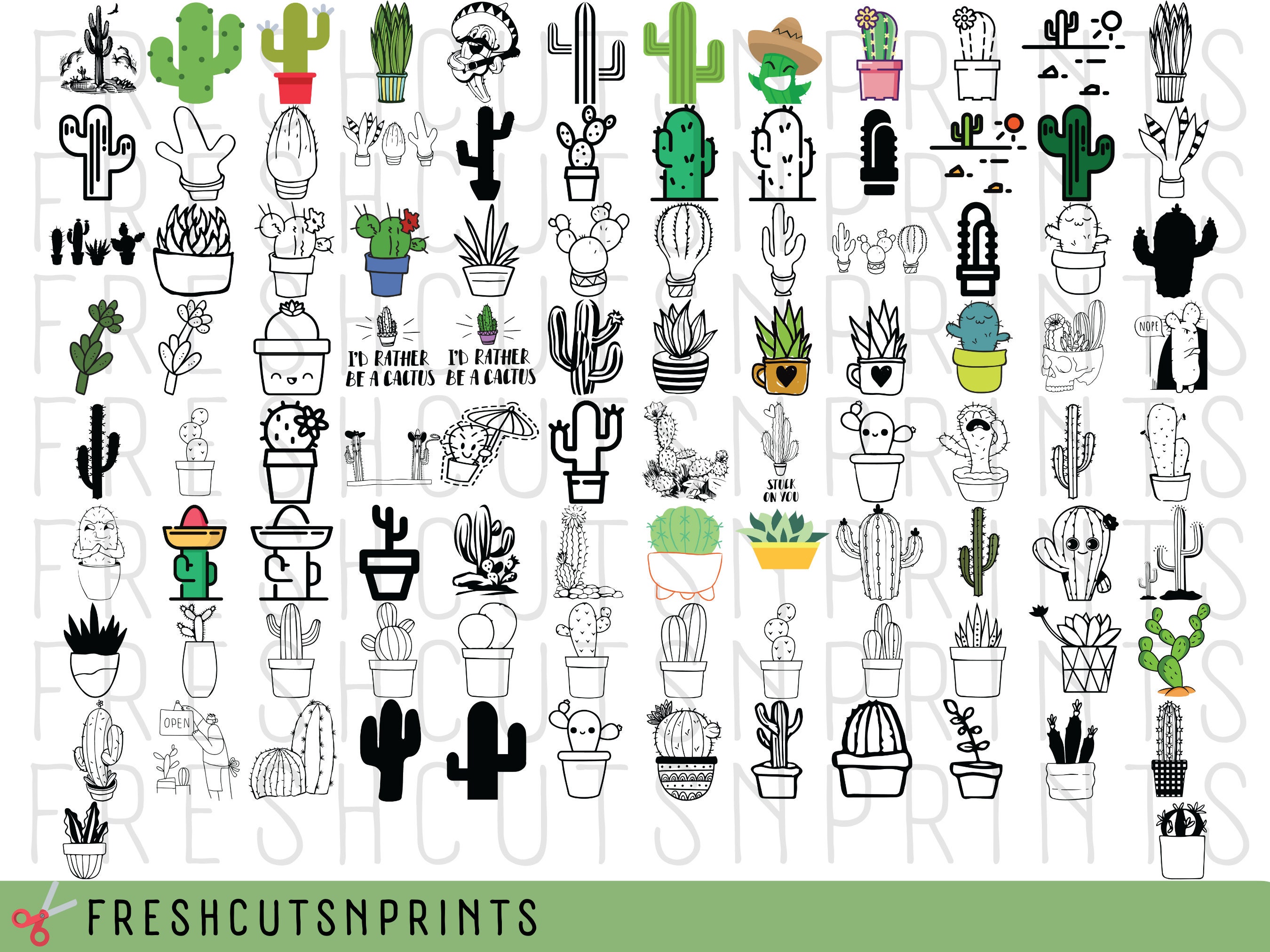 200 cactus