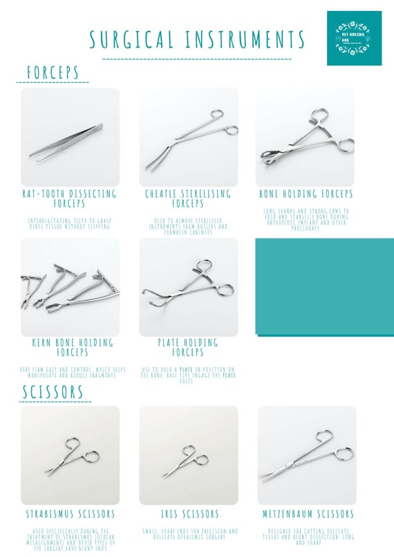 Veterinary Nursing Surgical Instruments Etsy