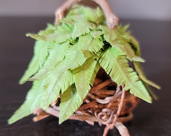 Potted Fern Miniature with Birds Nest Basket