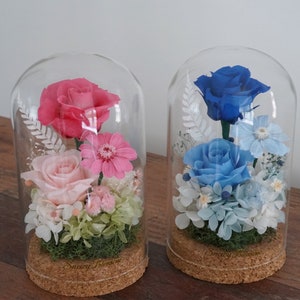 Japanese Preserved Rose Forever Eternal Rose Preserved Terrarium Ornament Home Decor Forever Rose Dried Flower Preserved glass dome