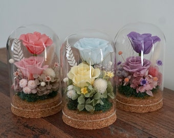 May include: Three glass domes with cork bases, each containing a preserved flower arrangement. The domes feature a pink rose, a light blue rose, and a purple rose, each with additional greenery and small flowers.