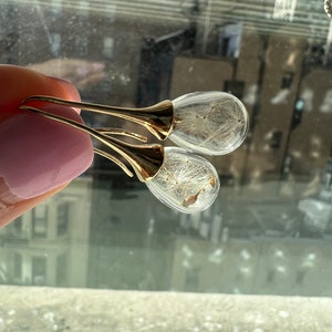 Real Dandelion Seed glass earrings-golden or silver drop shaped