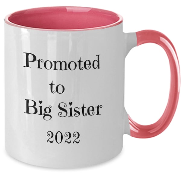 Promoted To Big Sister 2022, New Sister, Family, Pregnancy, New Baby