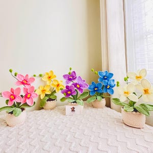 May include: Five crocheted orchid plants in pots. The orchids are in various colors, including pink, yellow, purple, blue, and white. The pots are all the same style and are made of a beige crocheted material.