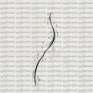 May include: A digital art print featuring a black, curved line with starburst and star accents. The background is a repeating pattern of the word "safsprints" in a light gray color.