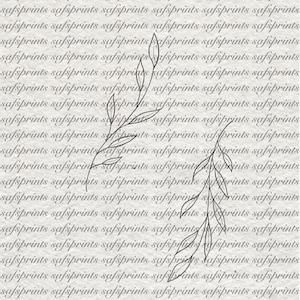 May include: A digital art print with a botanical illustration of leaves and stems in black on a textured, light grey background. The word "safsprints" is repeated across the background.