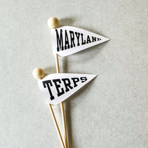 Custom Alma Mater, College Graduation, Commencement Celebration Flags, Cupcake or Treat Toppers Black Font