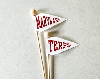 Custom Alma Mater, College Graduation, Commencement Celebration Flags, Cupcake or Treat Toppers