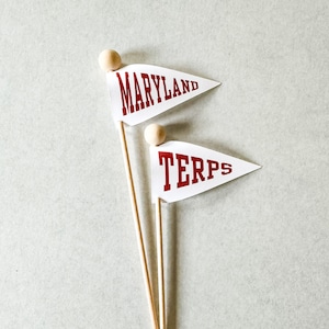 Custom Alma Mater, College Graduation, Commencement Celebration Flags, Cupcake or Treat Toppers image 1