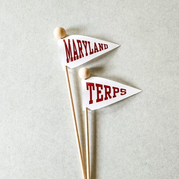 Custom Alma Mater, College Graduation, Commencement Celebration Flags, Cupcake or Treat Toppers