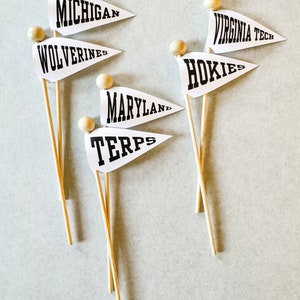 Custom Alma Mater, College Graduation, Commencement Celebration Flags, Cupcake or Treat Toppers image 5