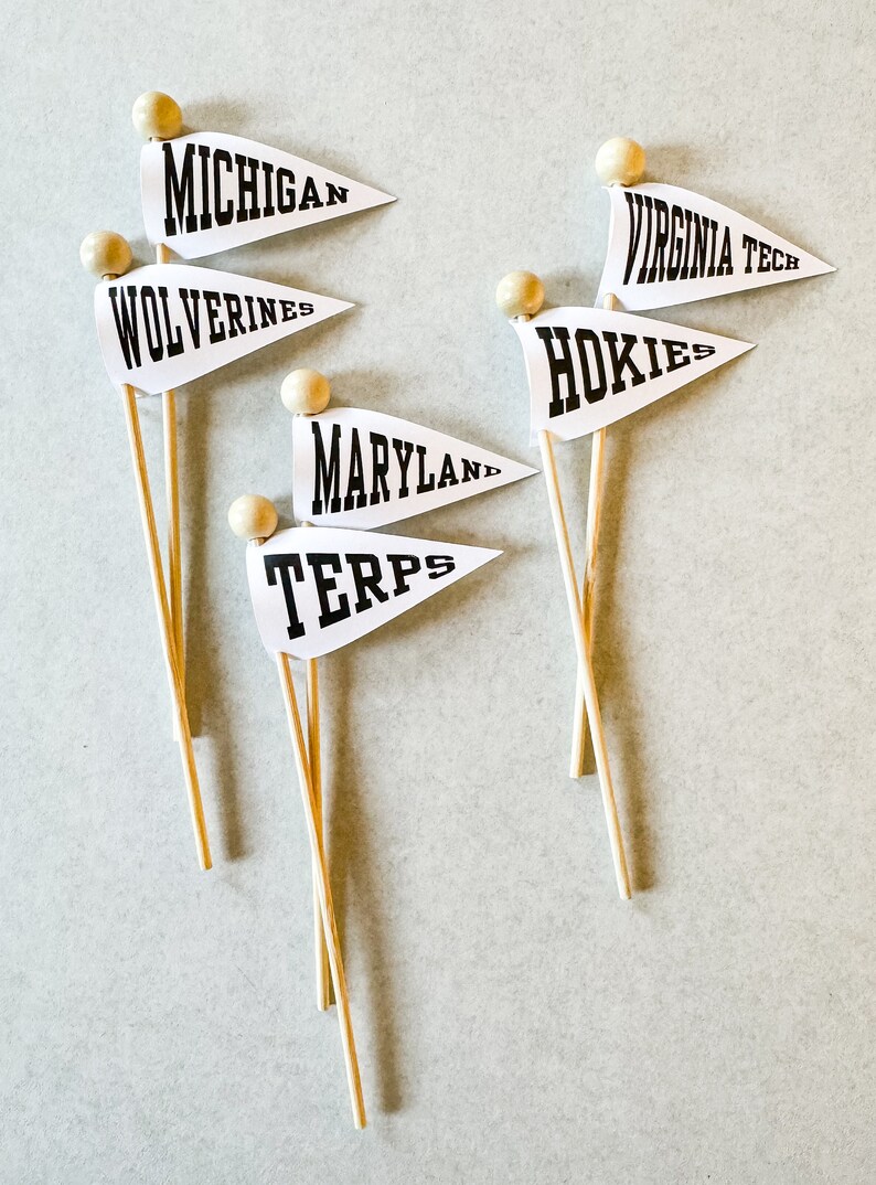 Custom Alma Mater, College Graduation, Commencement Celebration Flags, Cupcake or Treat Toppers image 5