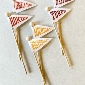 Custom Alma Mater, College Graduation, Commencement Celebration Flags, Cupcake or Treat Toppers image 4