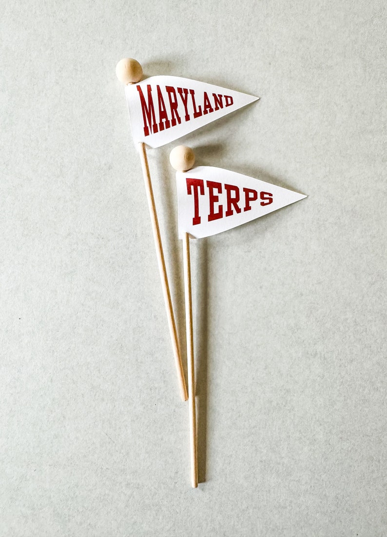 Custom Alma Mater, College Graduation, Commencement Celebration Flags, Cupcake or Treat Toppers image 1