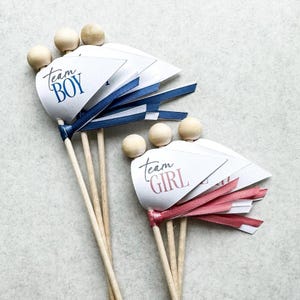 Team Boy and Team Girl Gender Reveal Flags, Cupcake Toppers, Baby Shower Decorations