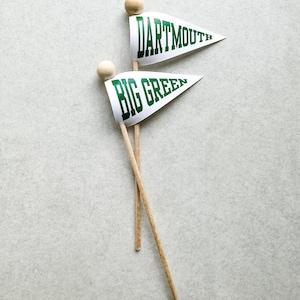 Custom Alma Mater, College Graduation, Commencement Celebration Flags, Cupcake or Treat Toppers image 7