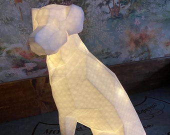 Light Up Labrador