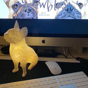 Light Up Boston Terrier