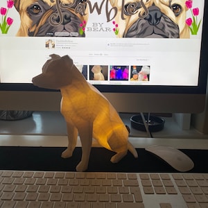 Light Up Staffordshire “Staffy” Bull Terrier