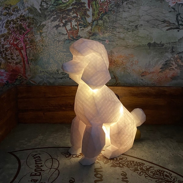 Caniche iluminado