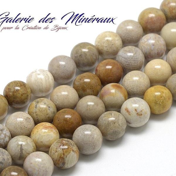 CORAIL FOSSIL  gemme pierre fine naturelle en lot de perles rondes   en 6mm : création bijoux & loisirs créatifs