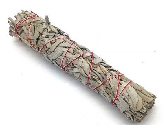 Sauge Blanche de Californie | Format Xl à Brûler | Vendu L'unité +/ - 100Gr