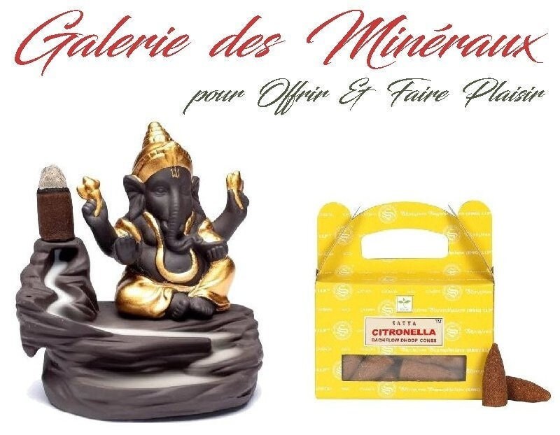 Cadeau Pour Offrir & Faire Plaisir Fontaine Encens à Refoulement avec Ganesh + 1 Boîte de 24 Cônes B