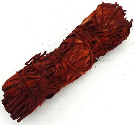 Sauge Sang de Dragon à Brûler | Vendu L'unité +/ - 32Gr